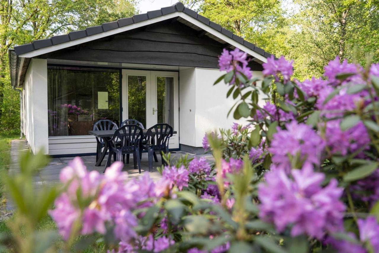 Vakantiepark Westerbergen